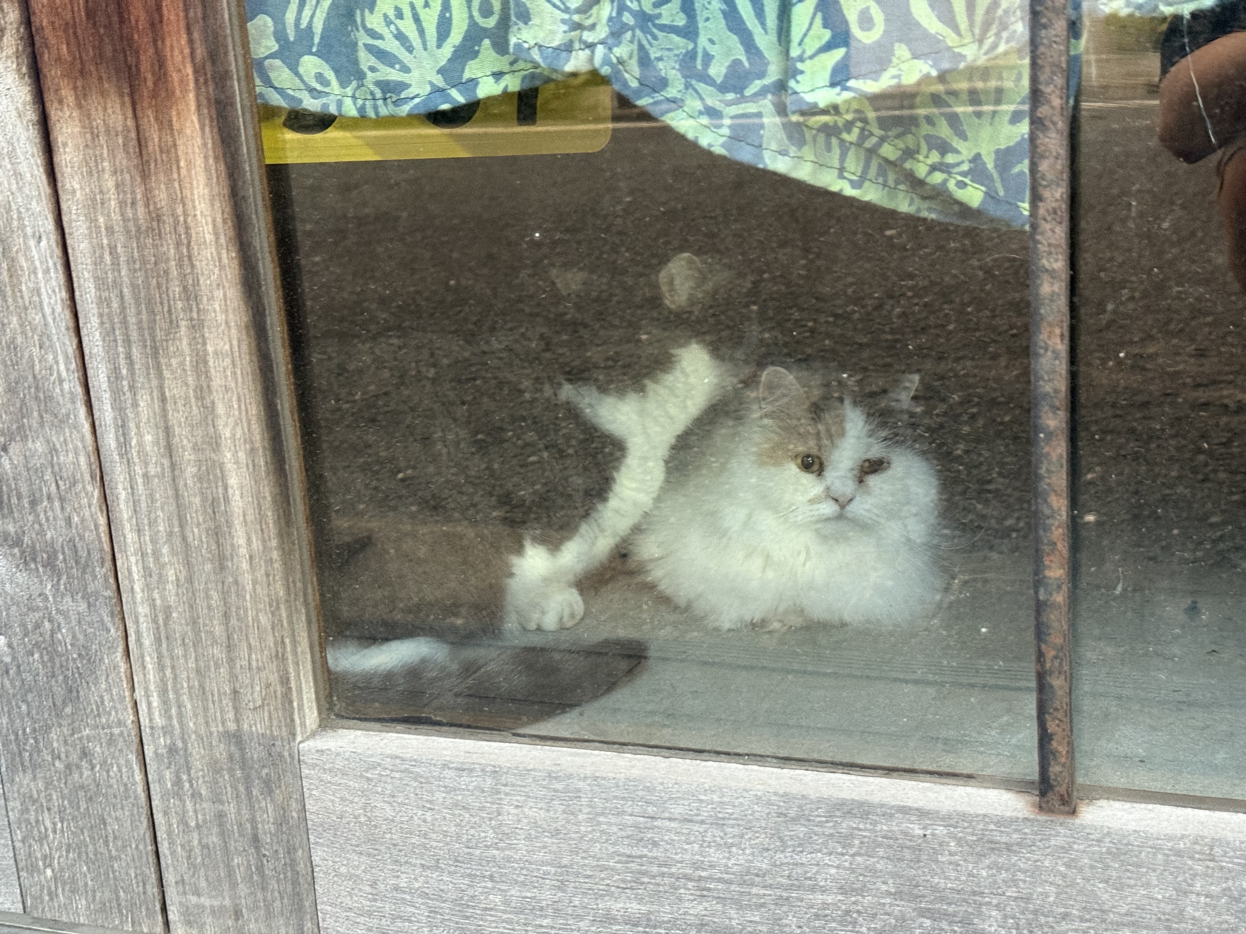 けいた